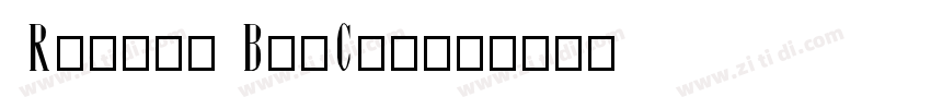 Roboto BigClock字体转换